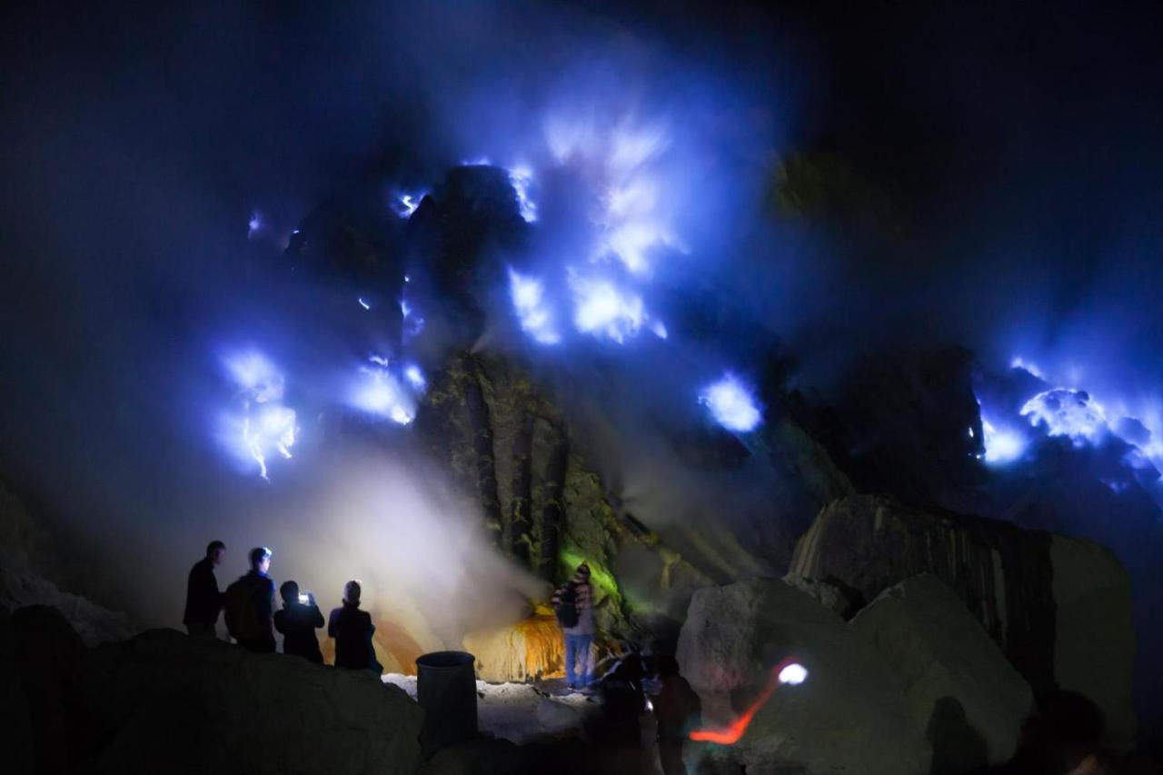 Dannu'S Homestay & Ijen, Bromo, Meru Betiri Sukomade Tours Banyuwangi  Dış mekan fotoğraf