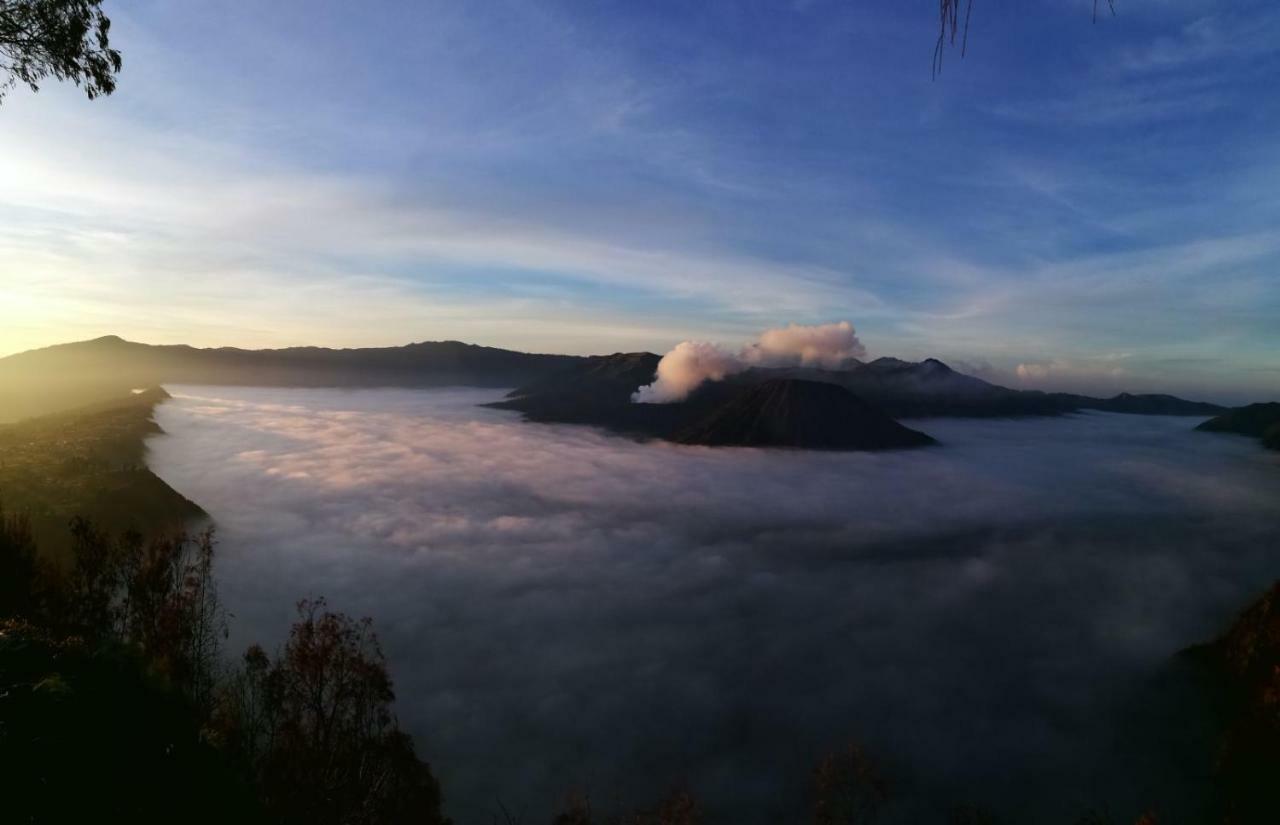 Dannu'S Homestay & Ijen, Bromo, Meru Betiri Sukomade Tours Banyuwangi  Dış mekan fotoğraf